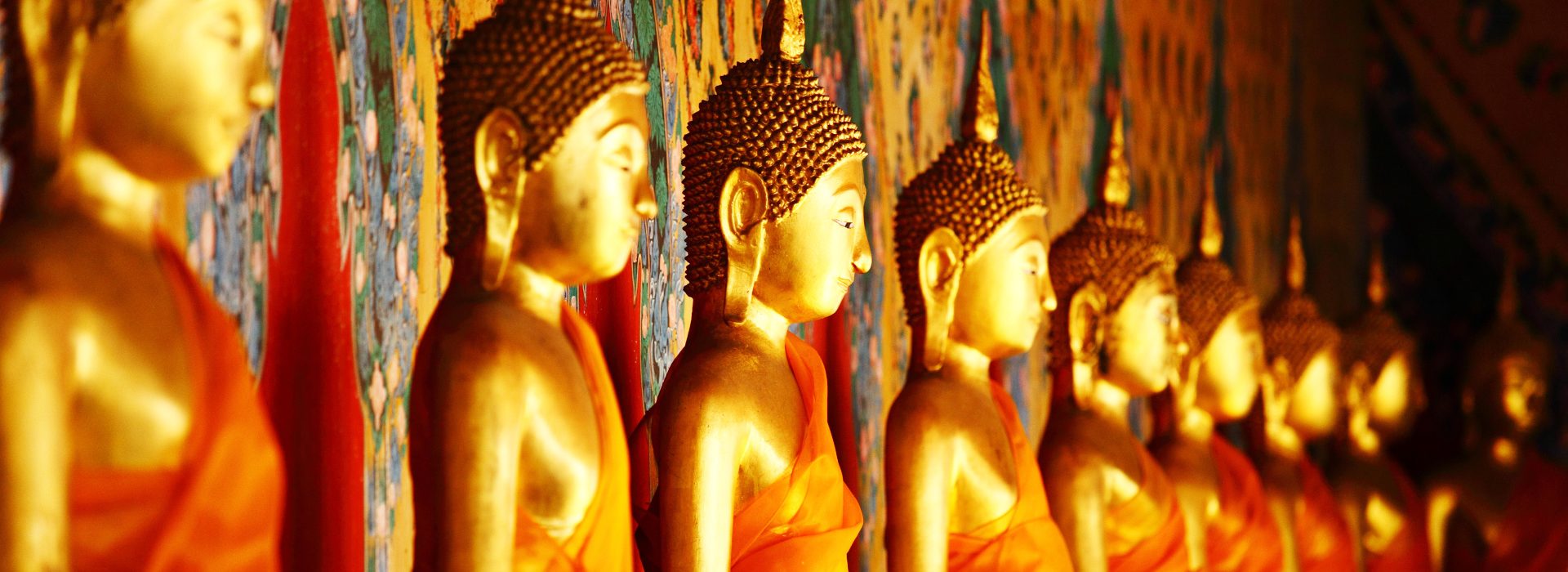 Die Aufrichtung der Wirbelsäule